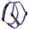 4" Wide Medium Dog Harness with Girth Sizes 14-24" Adjusts for Comfort