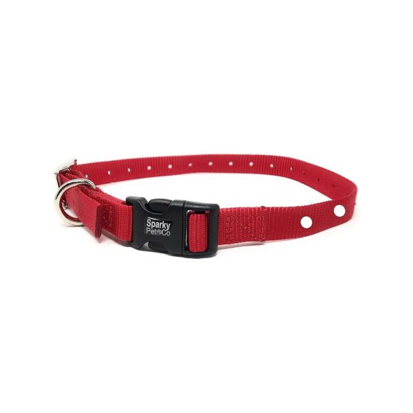 4 inch Nylon Dog Collar with 2 Buckles and 19 Holes