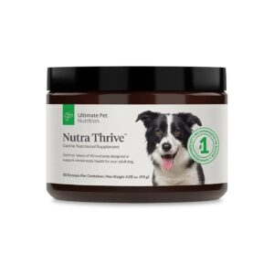 40-In-1 Nutritional Supplement for Dogs with Antioxidants and Amino Acids