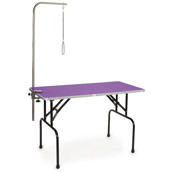 48x24In Purple Grooming Table with 48In Adjustable Grooming Arm