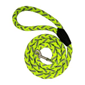 4FT Nylon Dog Training Leash For Small Medium Large Dogs With Reflective Threads