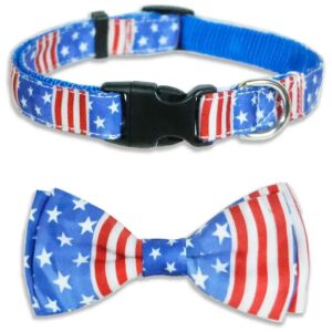 4th of July Dog Collar with Pool Red White and Blue Flag Bow Tie