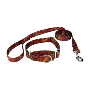 5/8 Inch Martingale Dog Collar and Leash with Fire Paisley and Steel Buckle