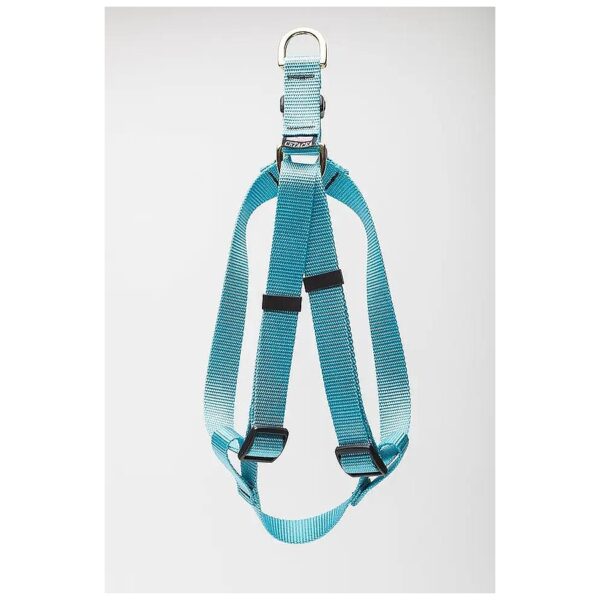 5/8" Webbing Small Turquoise Solid Step-in Dog Harness Adjustable Fits 14-22" Torso