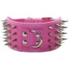 5 Adjustable Holes Hot Pink Faux Leather Dog Collar for Training