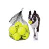 5 Inch Diameter Tennis Balls for All Breed Dogs Playing and Chasing