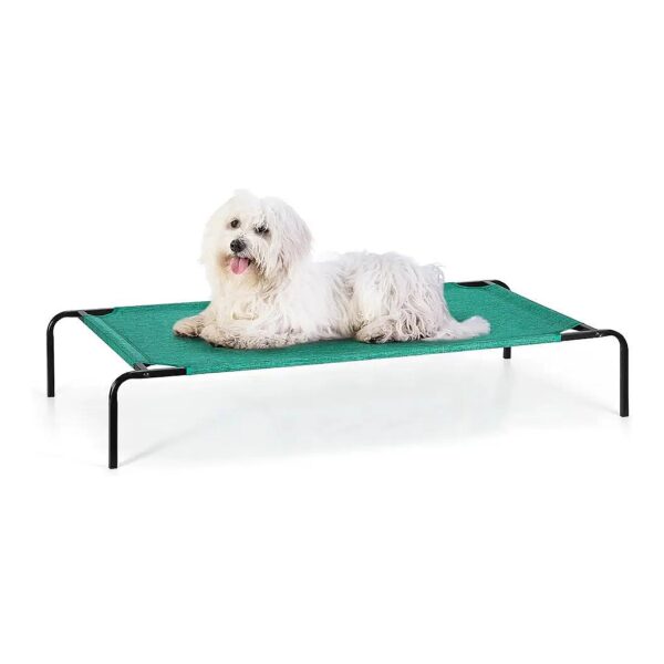 5 Inch Elevated Small Dog Bed with Adjustable Support and Backed by Durable Frame