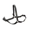 5-Inch Softouch No-Pull Harness for Small Black Dogs