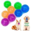 5 Inch Squeaky Dog Toy Balls for Small to Medium Dogs with 4 Colors and Spikes