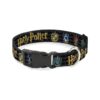 5 Inch Wide Black Harry Potter Dog Collar with Adjustable Polymer Buckle