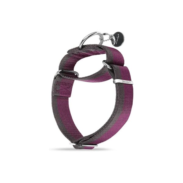 5 Inch Wide Martingale Collar for Medium to XLarge Dogs with Purplish Red & Grey Stripe