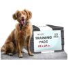 5-Layer Absorbent Pet Training Pads for Dogs and Cats