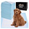 5 Layer Pee Pad 22x22 in Heavy Duty Leak Proof Barrier for Puppy Potty Training