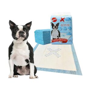 5-Layer Super Absorbent Pet Pads for Housebreaking Puppies and Adult Dogs