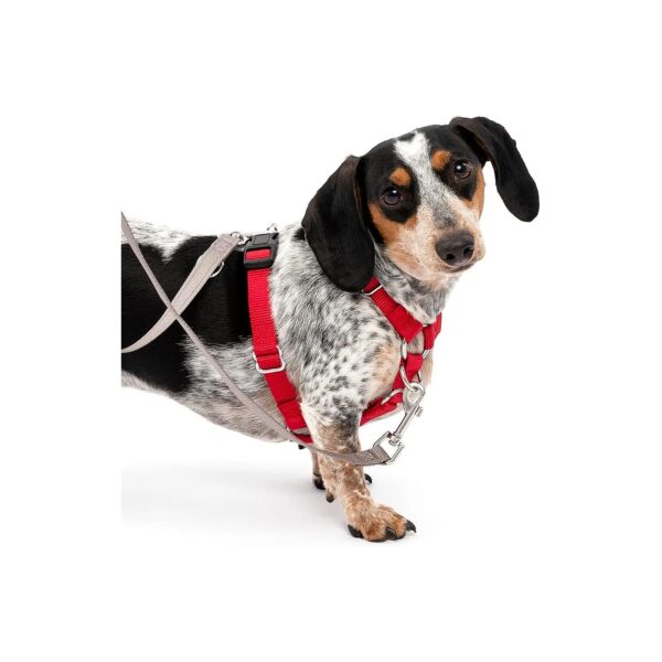 5-Point Adjustable Red Nylon Dog Harness for Custom Fit