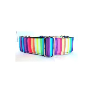 5 Wide Martingale Dog Collar with Rainbow Stripe Pattern for Dogs in Large/XL Size