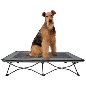 54 inch Long Elevated Dog Bed for Relaxing Comfort