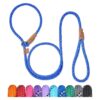 5FT Slip Lead Dog Leash with No Pull Training and Comfortable Loop