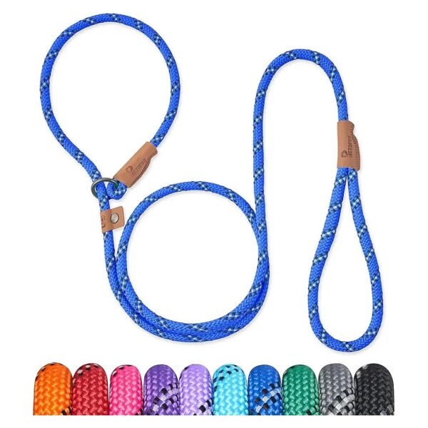 5FT Slip Lead Dog Leash with No Pull Training and Comfortable Loop