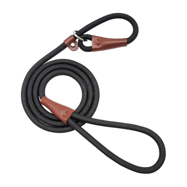 5ft Slipping Lead Rope Dog Leash for Medium and Large Dogs, No Pull Training Leash