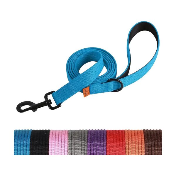 6 Foot Dog Leash with D Ring for Puppy Training and Walking