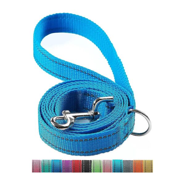 6 Foot Nylon Dog Leash with D Ring for Small Medium Large Breed Dogs Walking Training