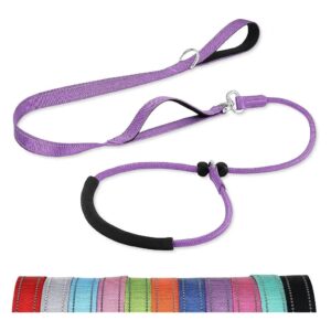 6 Foot Solid Purple Slip Leashes for Dogs with Dual Handles and No Tangle Features