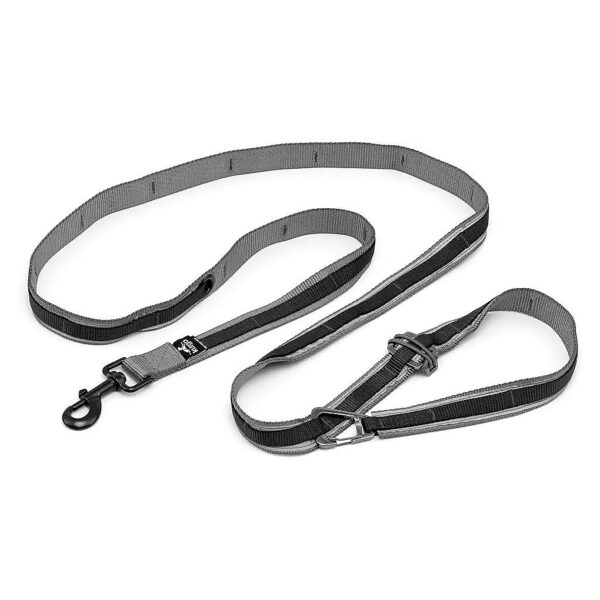 6 Foot Training Leash to Walk Run Hike with Your Dog Hands Free and Reflective Belt