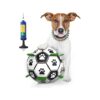 6 Inch Dog Toys for Tug of War, Puppy Playtime Fun, and Interaction