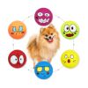 6 PCS Natural Rubber Latex Squeaky Dog Toys for Teething and Chewing Small Dogs