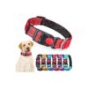 6 Pack Reflective Dog Collars in Various Colors for Small Medium and Large Dogs