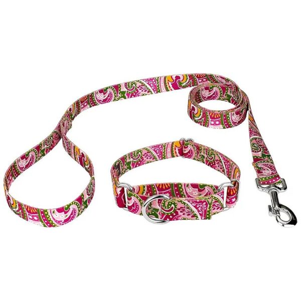 6 ft Pink Paisley Leash with Matching Martingale Dog Collar and Nickel Studs