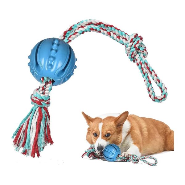 60 Pound Canines with Tug-of-War and Fetch Dog Ball Toy