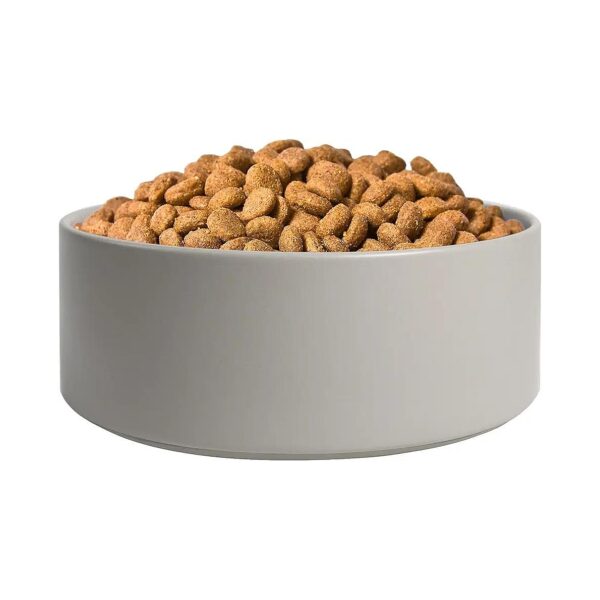 60oz Ceramic Dog Food Bowls with Elevated Stand for Easy Dining