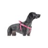 67cm Padded Harness Raspberry Nylon For Extra Support