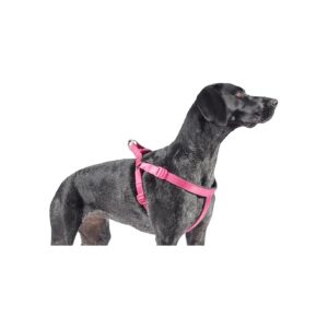 67cm Padded Harness Raspberry Nylon For Extra Support