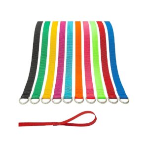 6FT Colorful Dog Leashes with O-Ring for Small to Large Dogs and Pets