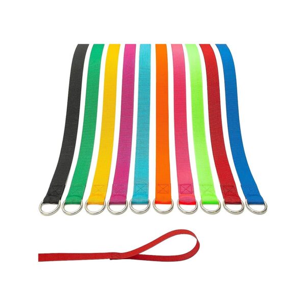 6FT Colorful Dog Leashes with O-Ring for Small to Large Dogs and Pets