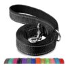 6FT Double-Sided Reflective Dog Leash with Padded Handle for Walking