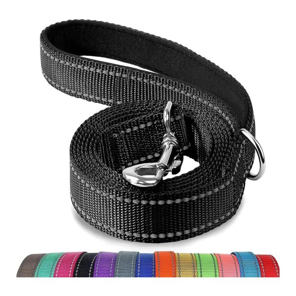 6FT Double-Sided Reflective Dog Leash with Padded Handle for Walking