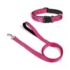 6FT Leash and 14-20 inches Neoprene Padded Pet Collar for Medium Dogs