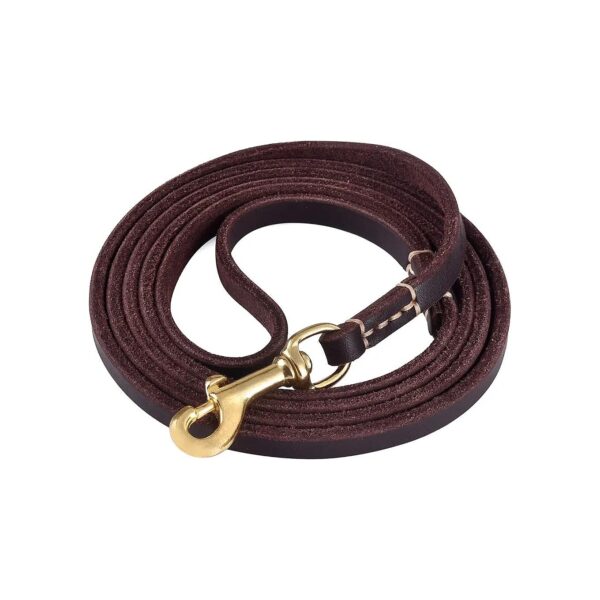 6FT Leather Dog Leash for Small to Medium Dogs Training and Walking Brown