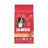 7 Lb Bag Lamb and Rice Dog Food for Adult Canines Complete Nutrition