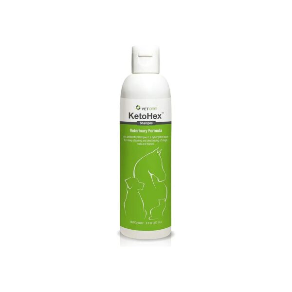 8 Fluid Ounces of Conditioning and Cleansing Cucumber Melon Shampoo