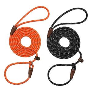 8 Foot Slip Lead Dog Leash with Reflective Threads for Small Medium Dogs