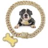 8 Inch Golden Dog Collar with Stainless Steel Link Chain