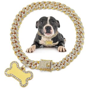 8 Inch Golden Dog Collar with Stainless Steel Link Chain