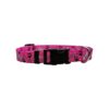 8" Wide Polyester Dog Collar for Small Dogs 8-12" Neck Size