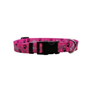 8" Wide Polyester Dog Collar for Small Dogs 8-12" Neck Size