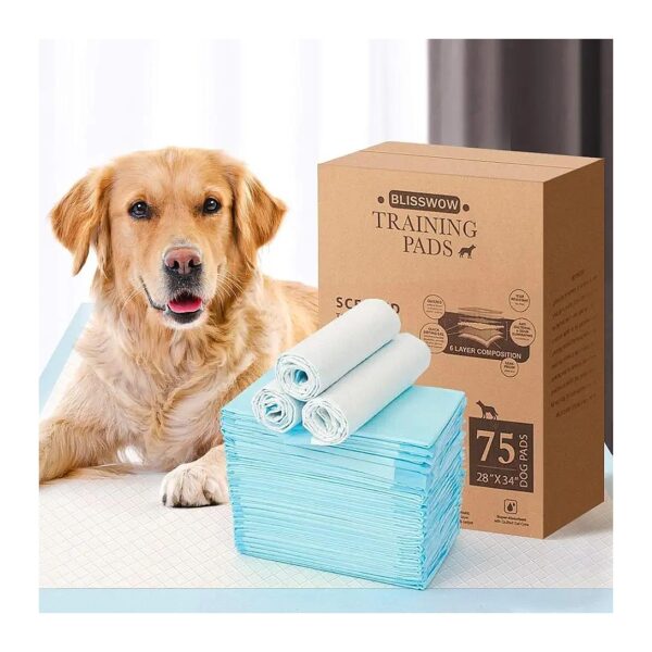 80 Pack Regular Size Puppy Training Pads for Housebreaking Puppies